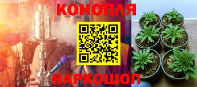 бошки Чебоксары